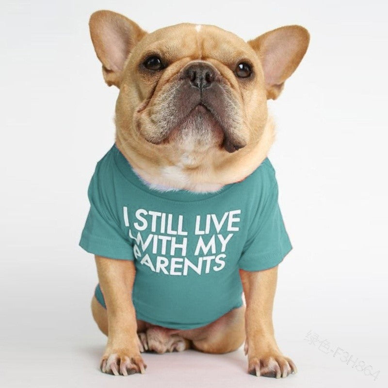 Round Neck T-Shirt Teddy Bichon Cat and Dog Clothing
