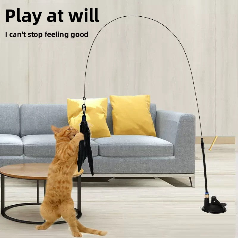 cat teaser wand