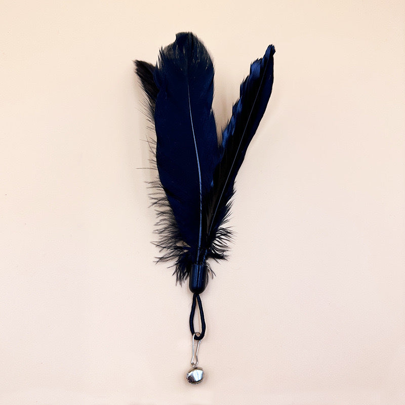 cat teaser wand