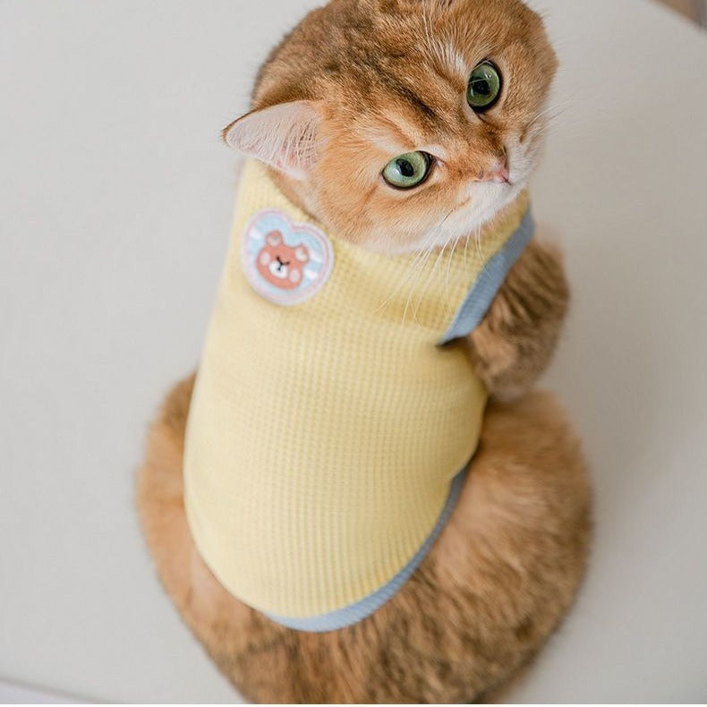 Cat clothes, dog pet clothing