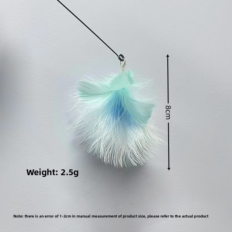 Interactive Cat Teaser Wand with Replaceable Heads