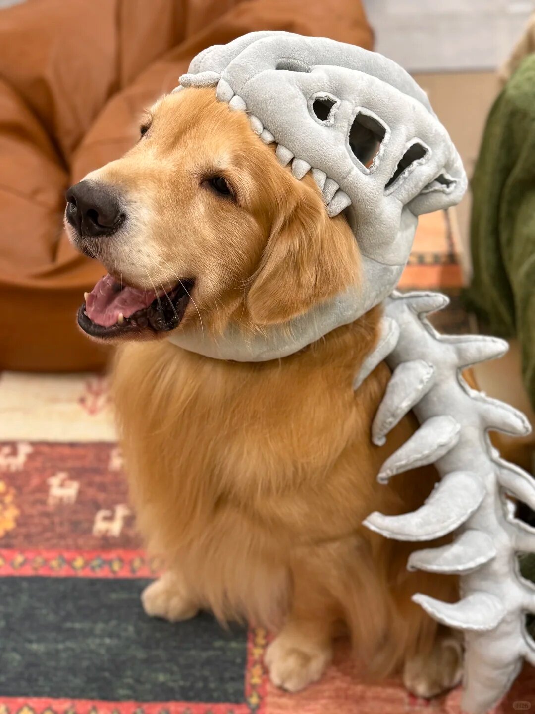 Skeleton Dinosaur Headgear Pet Cat and Dog Hat
