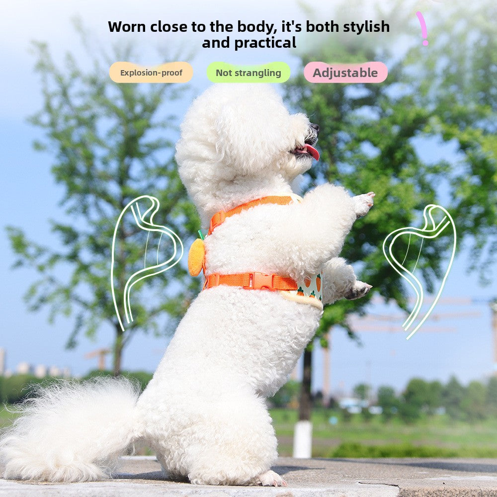 Adjustable Fruit Print Dog Harness