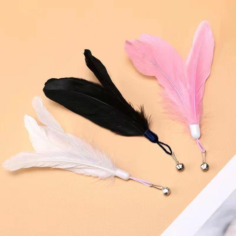 cat teaser wand