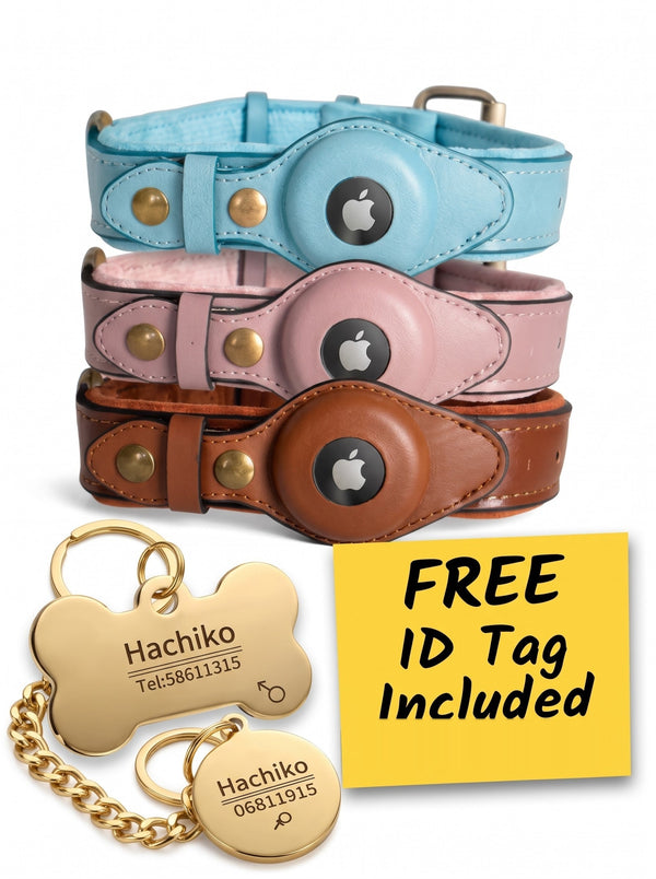 AirTag pocket on the suede dog collar