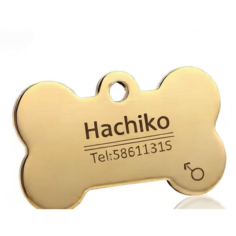 Engraved gold bone pet ID tag