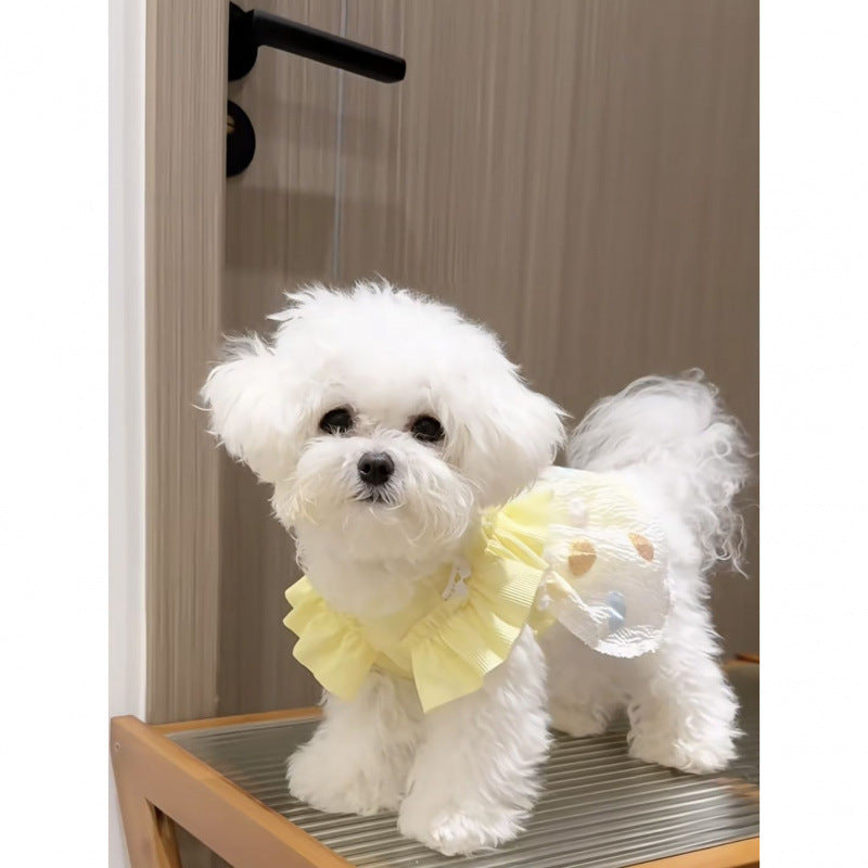 Pet dog clothes