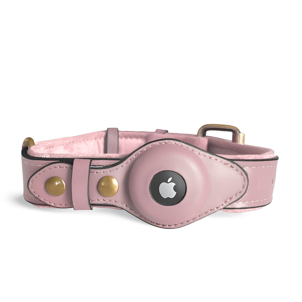 AirTag dog collar - pink