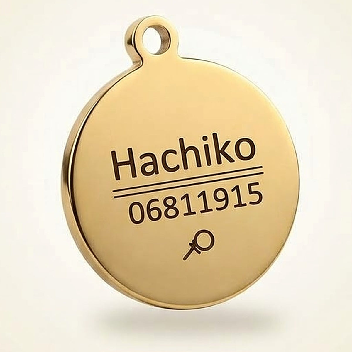 Engraved round gold pet ID tag