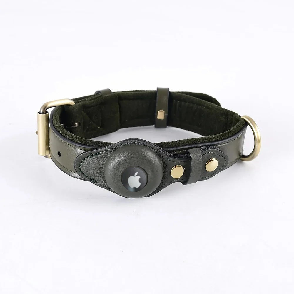 Green AirTag dog collar
