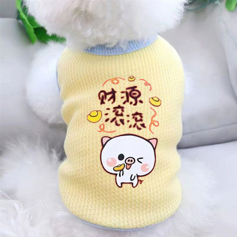 Cat clothes, dog pet clothing