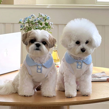 Summer Pet Bichon Frise and Spring/Autumn Kitten Polo Shirt