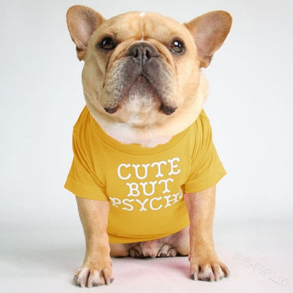 Round Neck T-Shirt Teddy Bichon Cat and Dog Clothing