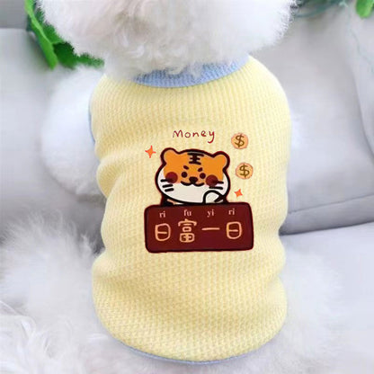 Cat clothes, dog pet clothing