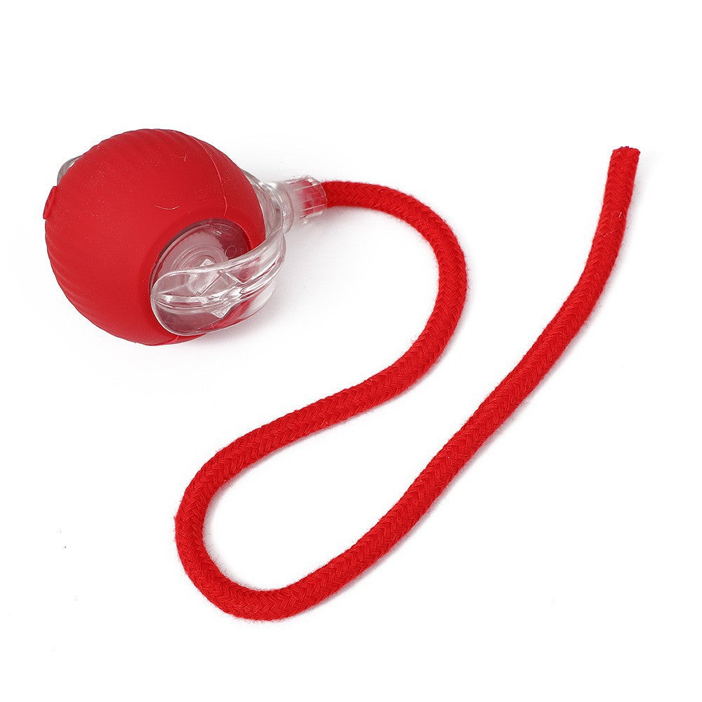 Automatic Cat Teasing Ball Toy