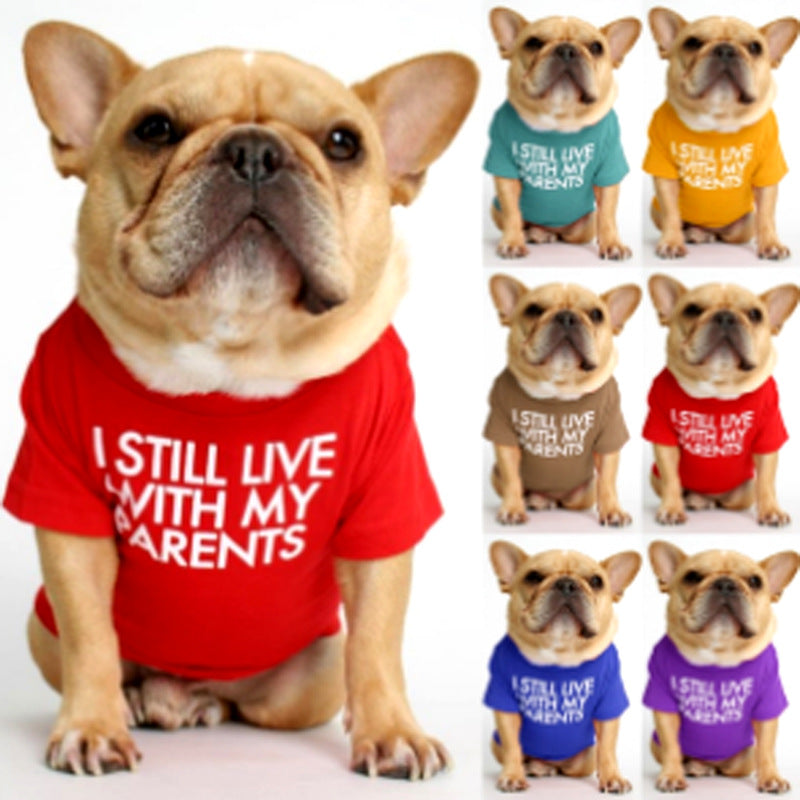Round Neck T-Shirt Teddy Bichon Cat and Dog Clothing