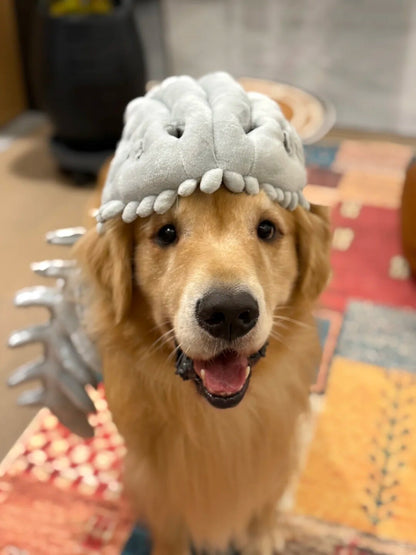 Skeleton Dinosaur Headgear Pet Cat and Dog Hat