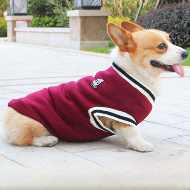 Pet Dog Clothes
