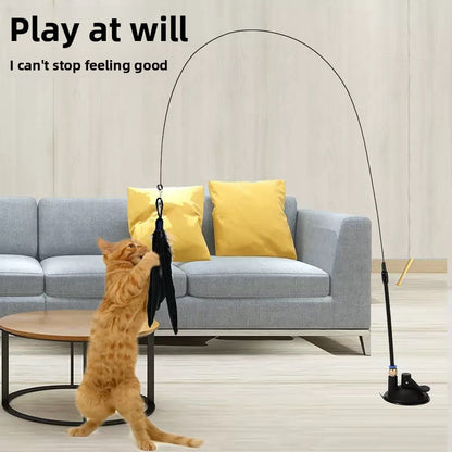 cat teaser wand