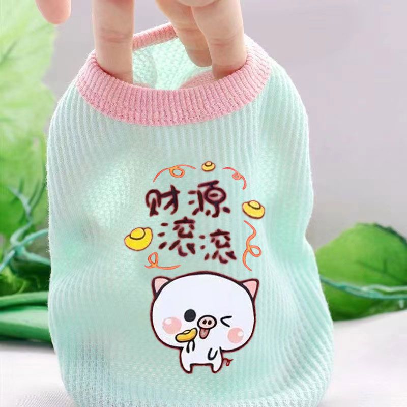 Cat clothes, dog pet clothing