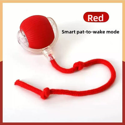 Automatic Cat Teasing Ball Toy