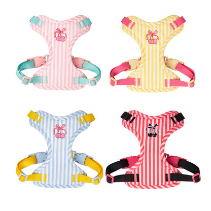 Adjustable Pet Vest Harness with Leash for Small Dogs