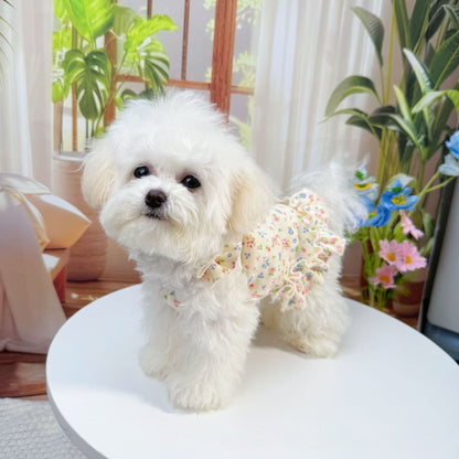 Pet clothing