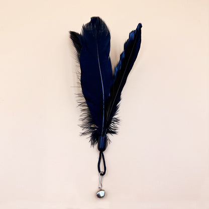 cat teaser wand