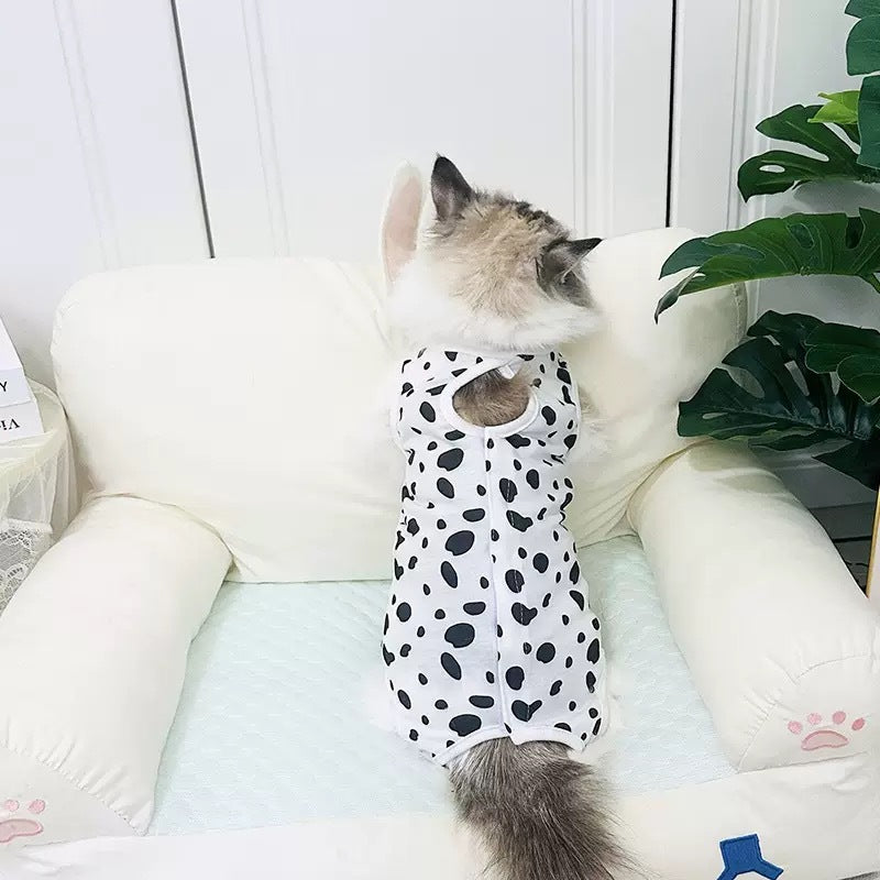 Cat Sterilization and Postpartum Recovery Vest