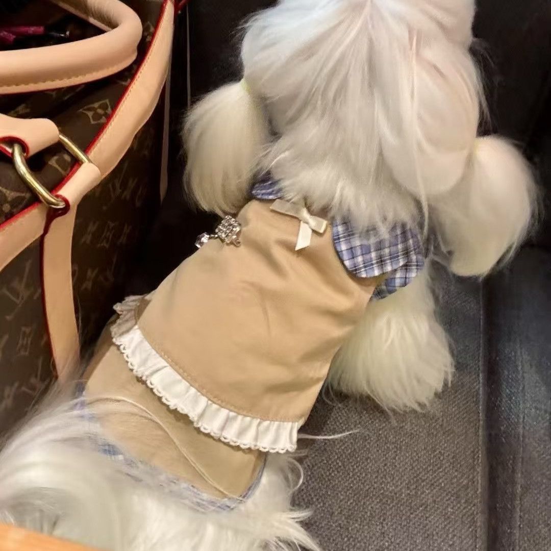 Pet Sleeveless Dress for Small Dogs