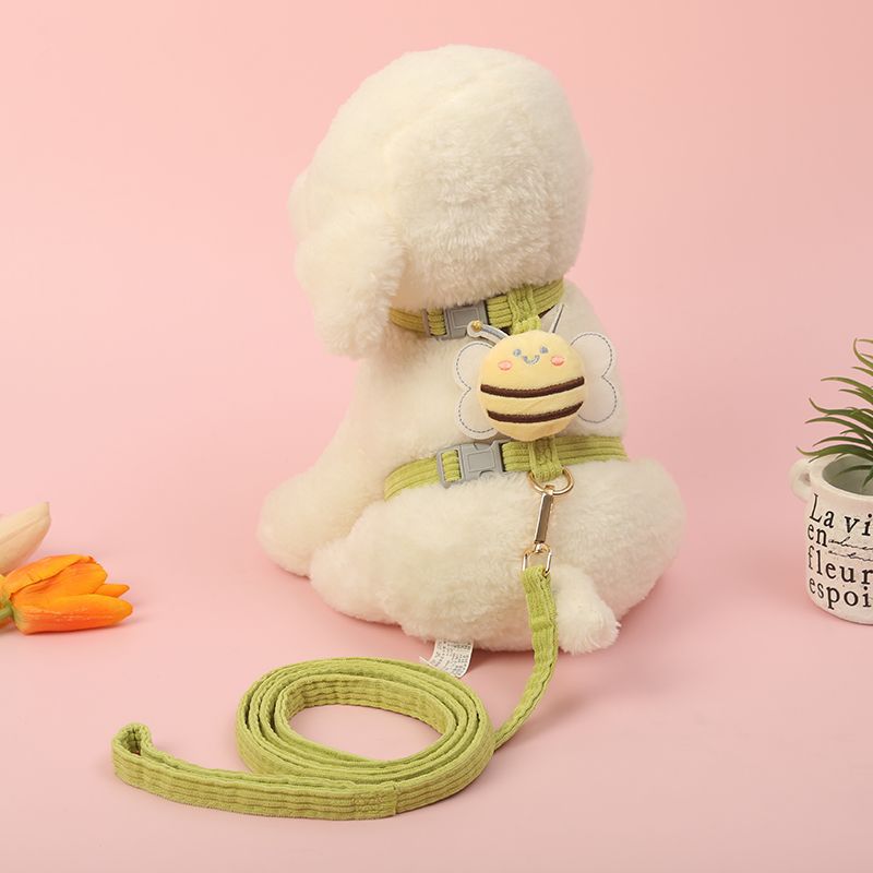 cat and dog Leash