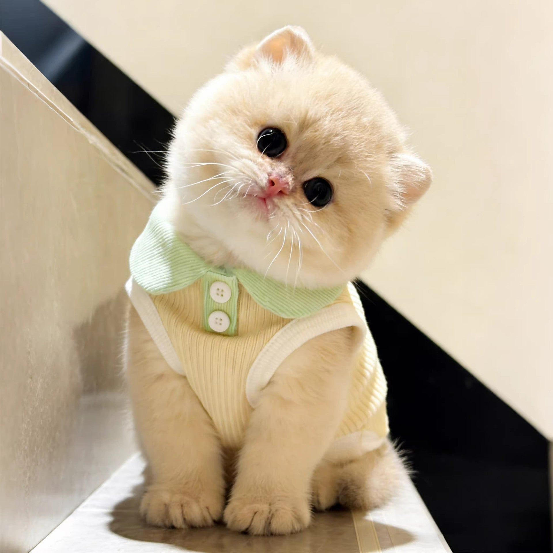 Pet Polo Shirt for Small Dogs and Cats