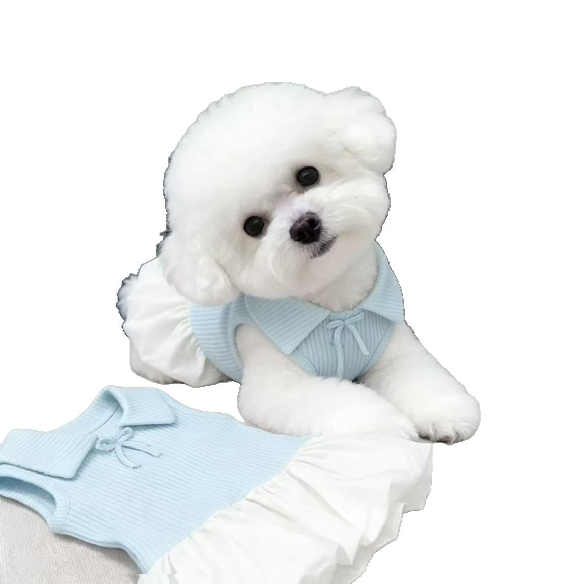 Pet Dog and Cat Polo Collar Dress Summer Thin Style for Small Breeds