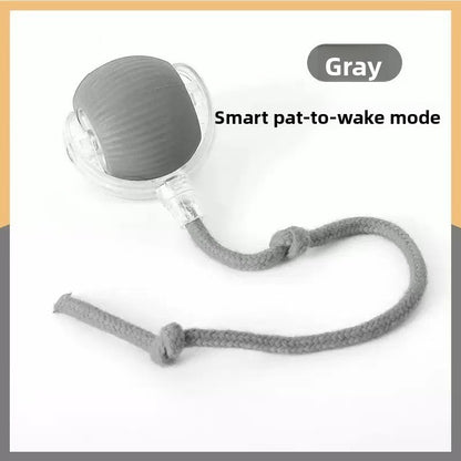 Automatic Cat Teasing Ball Toy