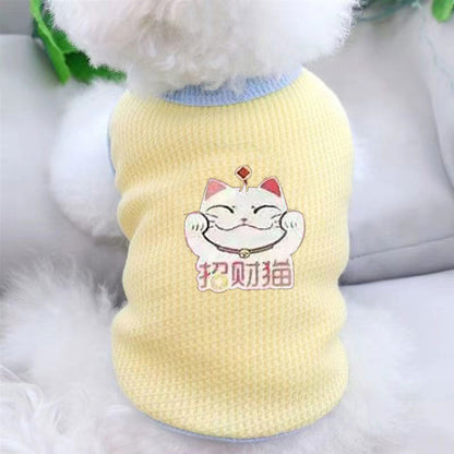 Cat clothes, dog pet clothing