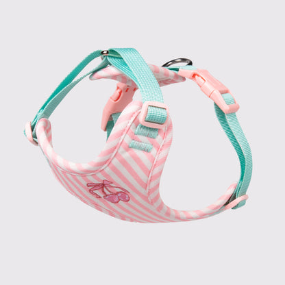 Adjustable Pet Vest Harness with Leash for Small Dogs