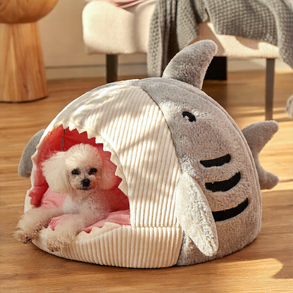 Shark House for Cats and Dogs