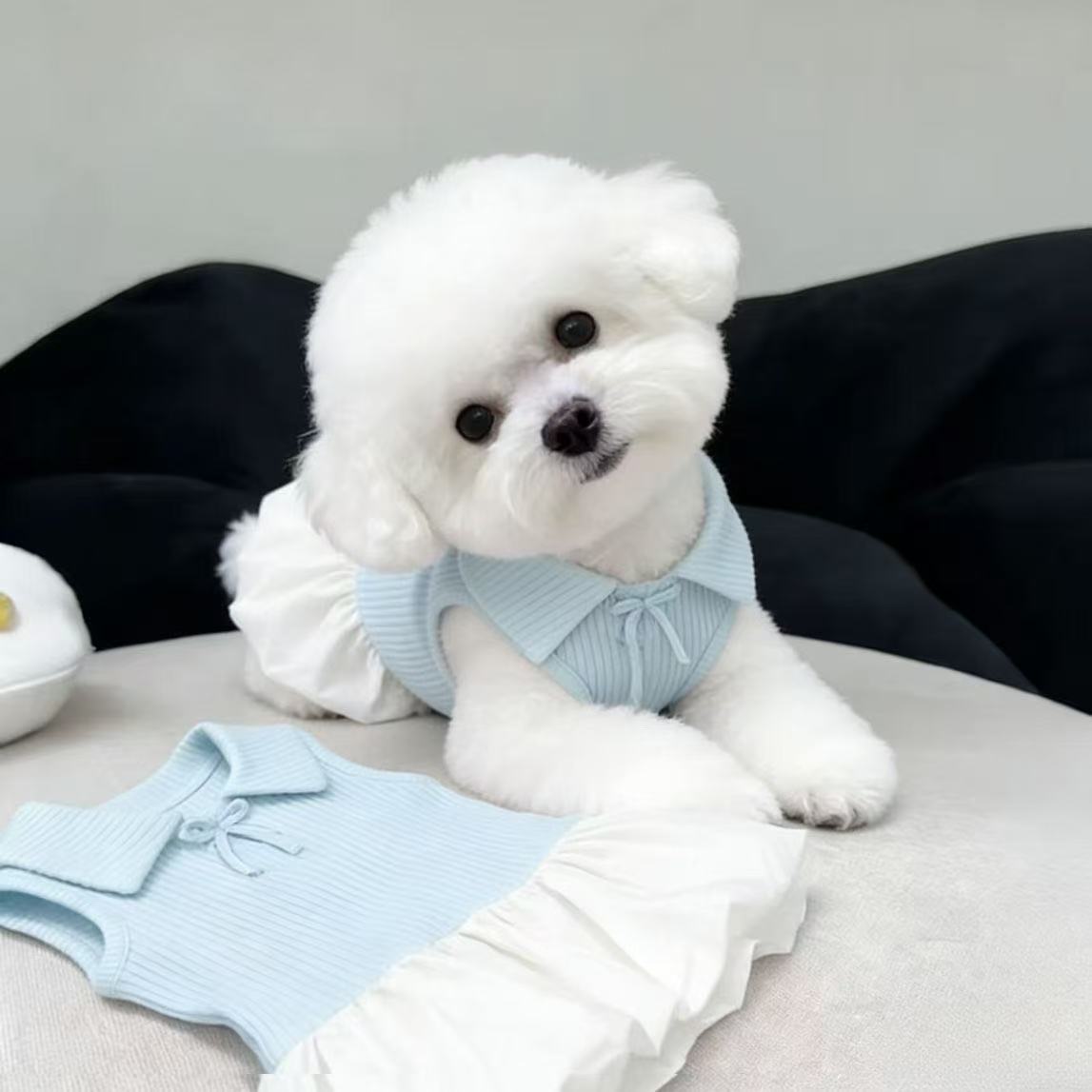 Pet Dog and Cat Polo Collar Dress Summer Thin Style for Small Breeds