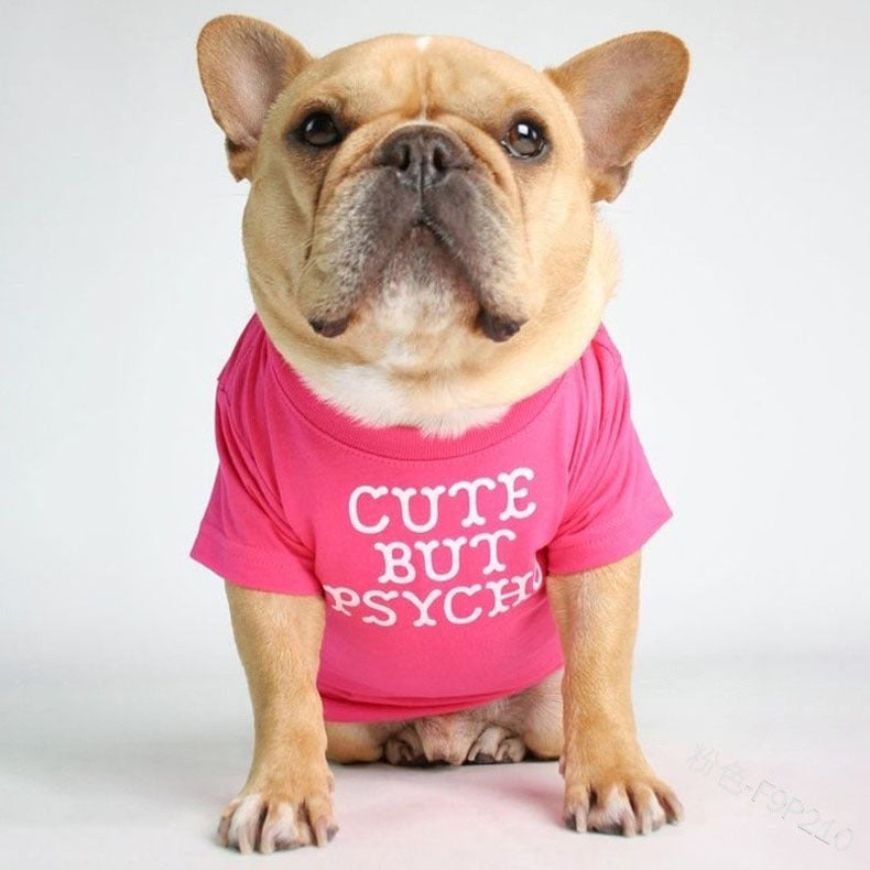 Round Neck T-Shirt Teddy Bichon Cat and Dog Clothing