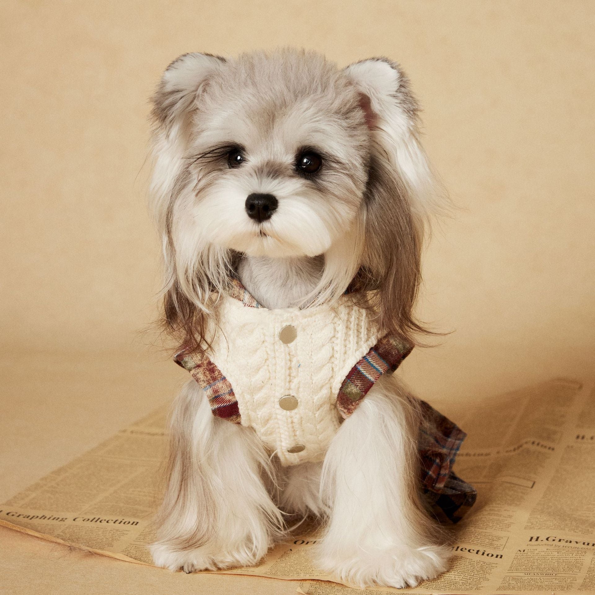 Tony Bear Dog Clothes Autumn and Winter Sleeveless Maillard Plaid Patchwork Sweet Schnauzer Bichon Teddy Dress