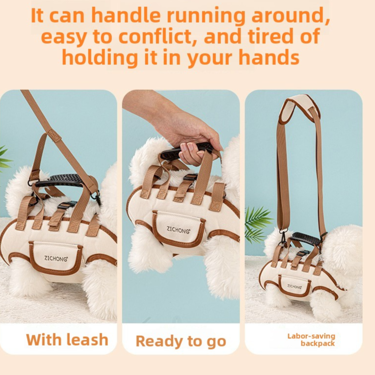 Adjustable Pet Harness Leash Set