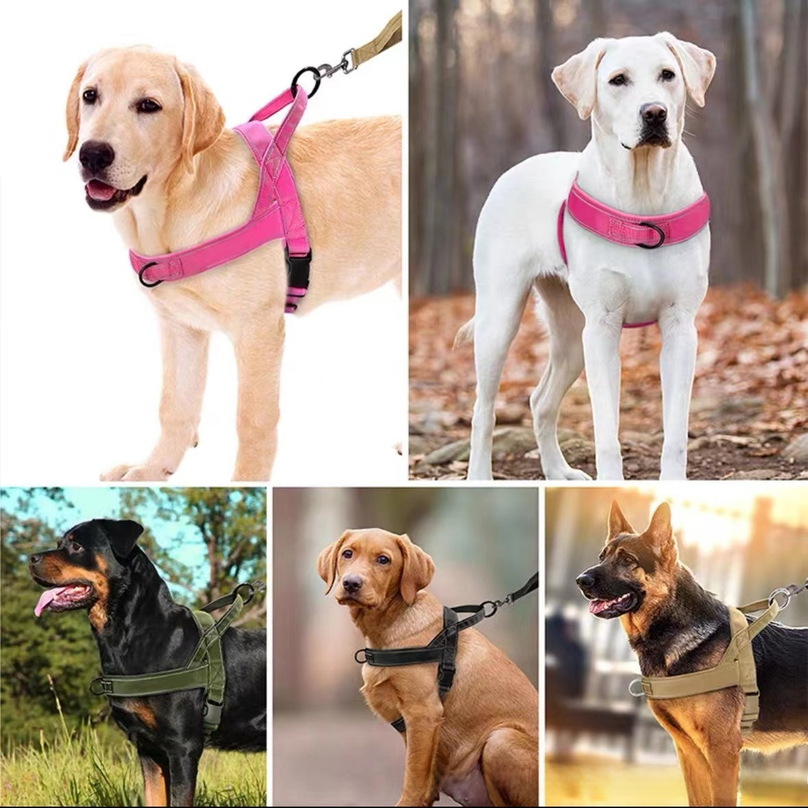 Tactical Dog Harness and Leash Set