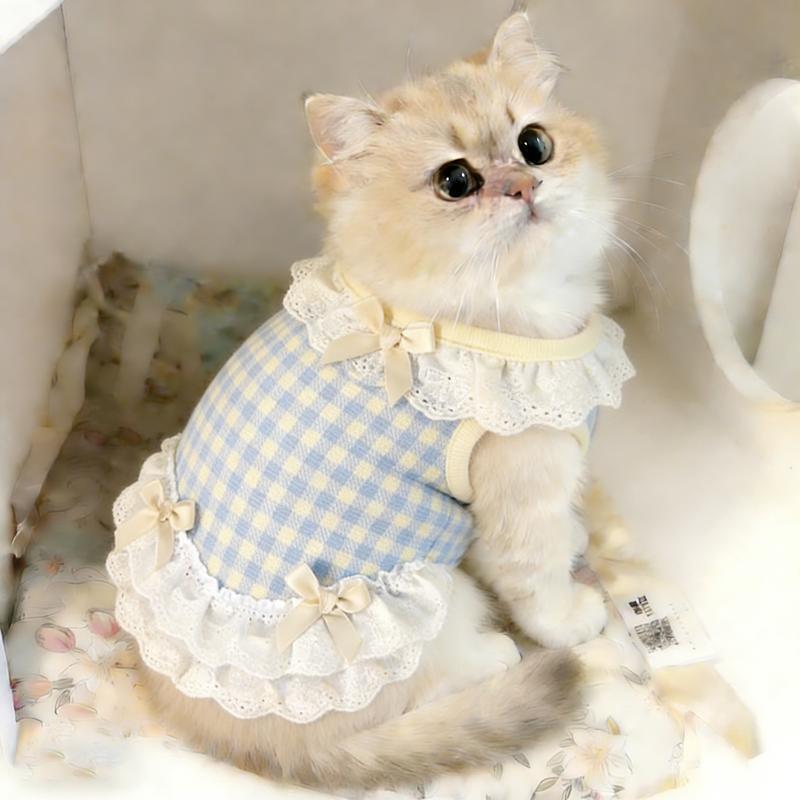 Cat Clothes Spring Summer Thin Princess Lace Vest Dress