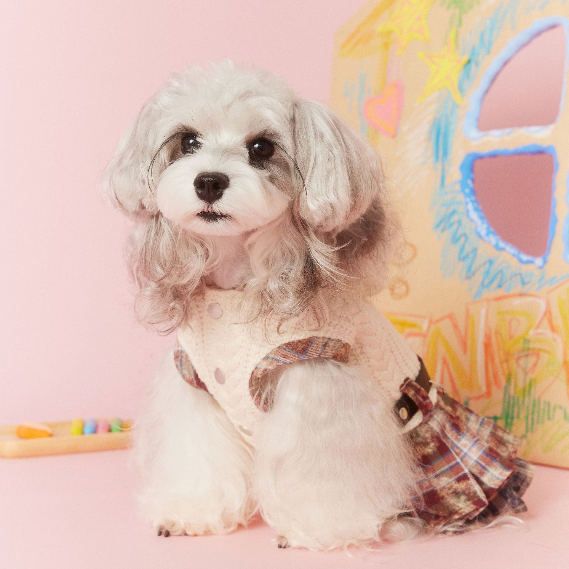 Tony Bear Dog Clothes Autumn and Winter Sleeveless Maillard Plaid Patchwork Sweet Schnauzer Bichon Teddy Dress