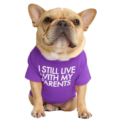 Round Neck T-Shirt Teddy Bichon Cat and Dog Clothing