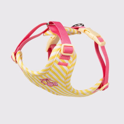 Adjustable Pet Vest Harness with Leash for Small Dogs
