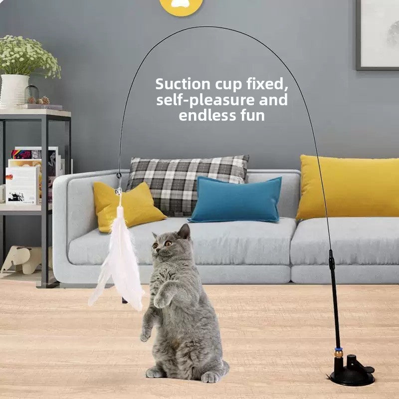 cat teaser wand