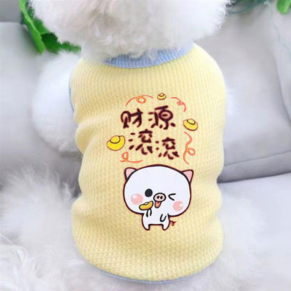 Cat clothes, dog pet clothing