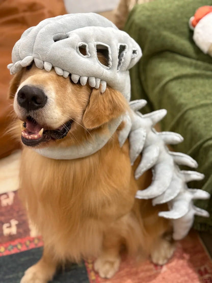 Skeleton Dinosaur Headgear Pet Cat and Dog Hat