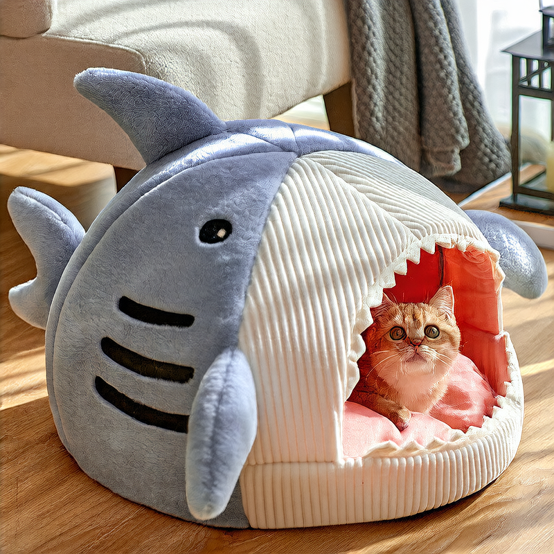 Shark House for Cats and Dogs
